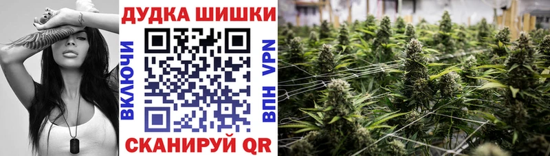 где купить наркоту  гидра онион  Бошки марихуана Ganja  Балтийск 